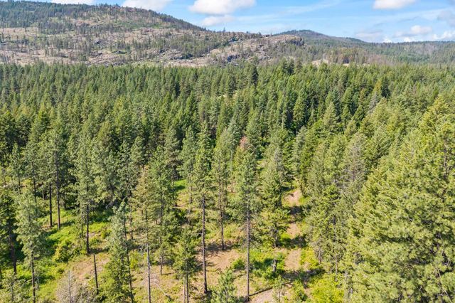 8XX Nancy Creek Rd, Kettle Falls, WA 99141