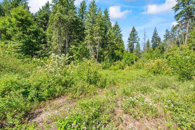 8XX Nancy Creek Rd, Kettle Falls, WA 99141