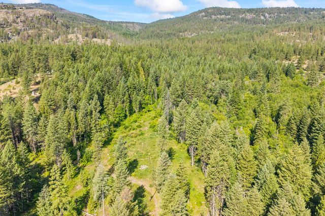 8XX Nancy Creek Rd, Kettle Falls, WA 99141
