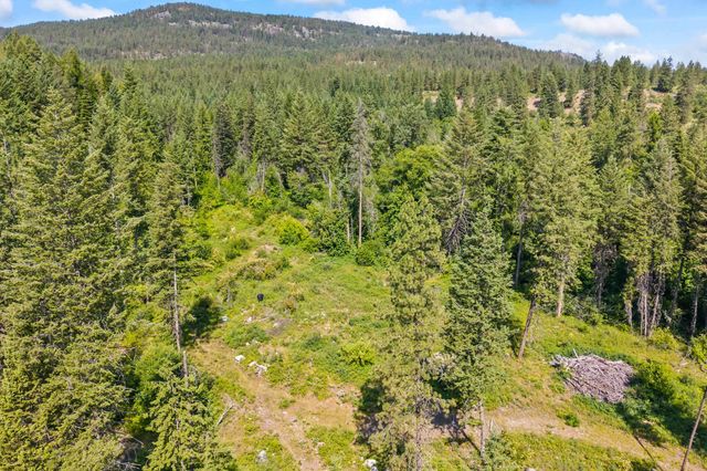8XX Nancy Creek Rd, Kettle Falls, WA 99141