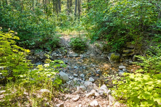 8XX Nancy Creek Rd, Kettle Falls, WA 99141