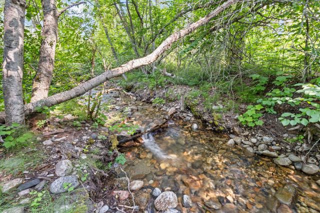 8XX Nancy Creek Rd, Kettle Falls, WA 99141
