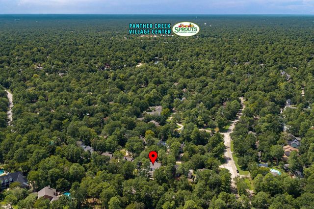 5 Thornhedge Court, The Woodlands, TX 77381