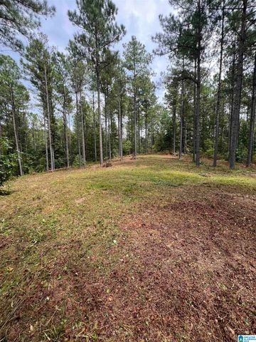 740 SWEET APPLE ROAD, Cropwell, AL 35054