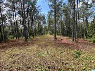 740 SWEET APPLE ROAD, Cropwell, AL 35054