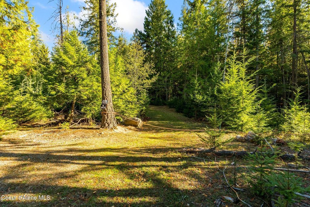 NKA Lot 4 Saddleback Drive, Sagle, ID 83860 photo 3