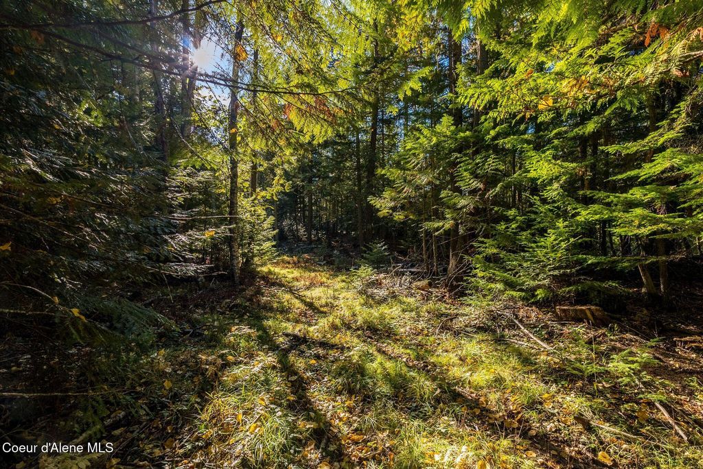 NKA Lot 4 Saddleback Drive, Sagle, ID 83860 photo 4