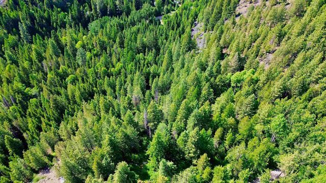 NNA McCloud Creek Rd, Newport, WA 99156