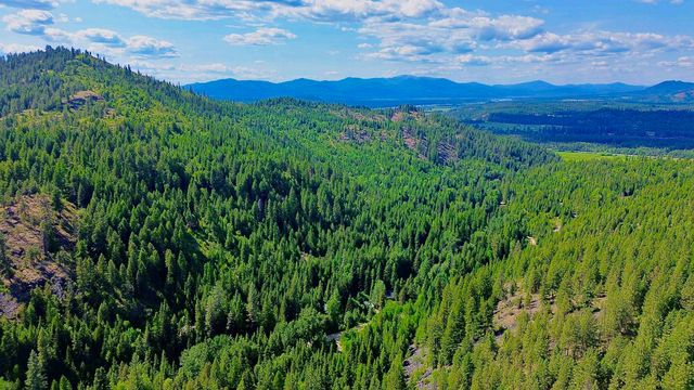 NNA McCloud Creek Rd, Newport, WA 99156