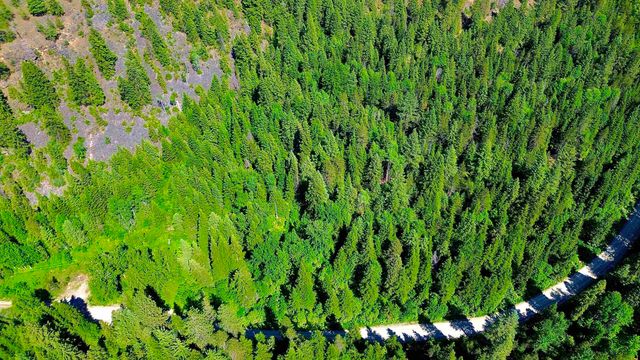 NNA McCloud Creek Rd, Newport, WA 99156