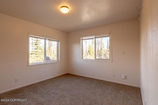 65449 Lingonberry Road, Ninilchik, AK 99639