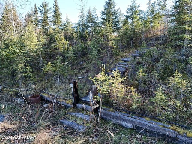 65449 Lingonberry Road, Ninilchik, AK 99639