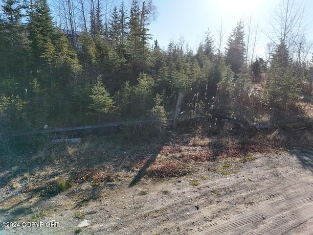 65449 Lingonberry Road, Ninilchik, AK 99639