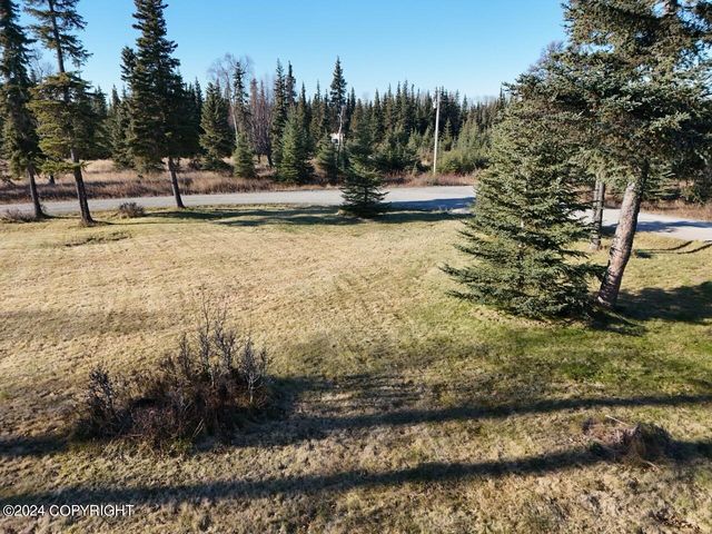 65449 Lingonberry Road, Ninilchik, AK 99639