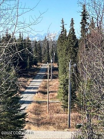 65449 Lingonberry Road, Ninilchik, AK 99639