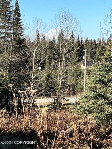 65449 Lingonberry Road, Ninilchik, AK 99639