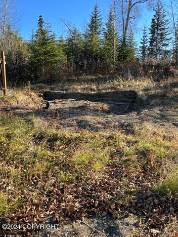 65449 Lingonberry Road, Ninilchik, AK 99639