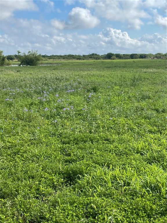 4416 County Road 1177, Taft, TX 78390 — photo 2