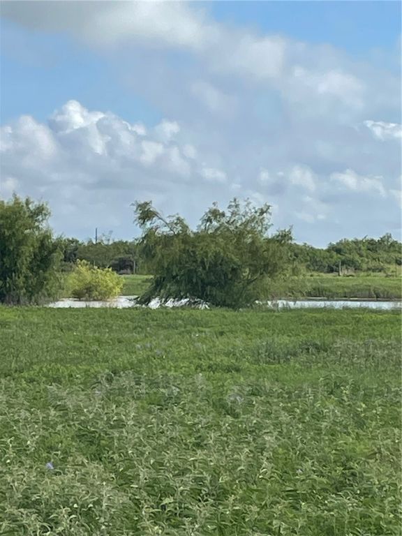 4416 County Road 1177, Taft, TX 78390 — photo 3