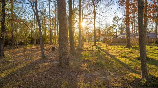 171 Whiteside Drive, Onalaska, TX 77360