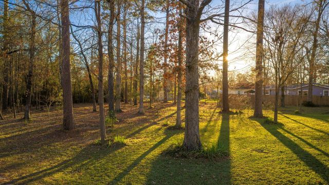 171 Whiteside Drive, Onalaska, TX 77360