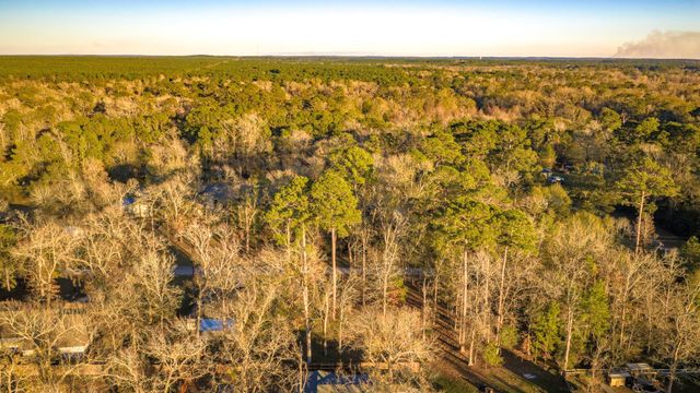 171 Whiteside Drive, Onalaska, TX 77360