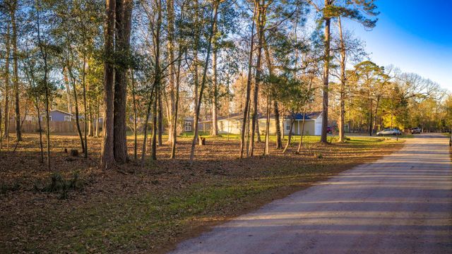 171 Whiteside Drive, Onalaska, TX 77360