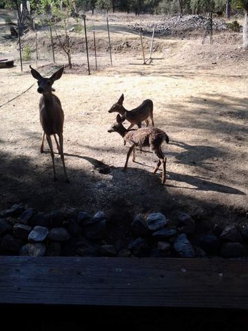 9110 Hidden Valley Rd, Mountain Ranch, CA 95246