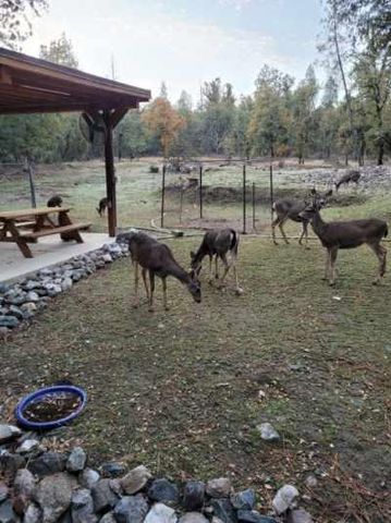 9110 Hidden Valley Rd, Mountain Ranch, CA 95246