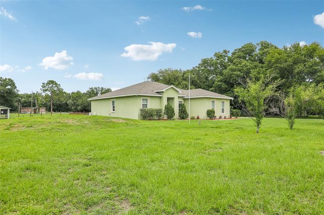 9876 PANGOLA LOOP, Land O Lakes, FL 34639