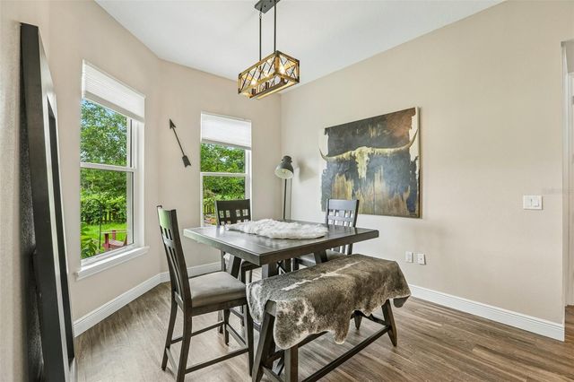 9876 PANGOLA LOOP, Land O Lakes, FL 34639