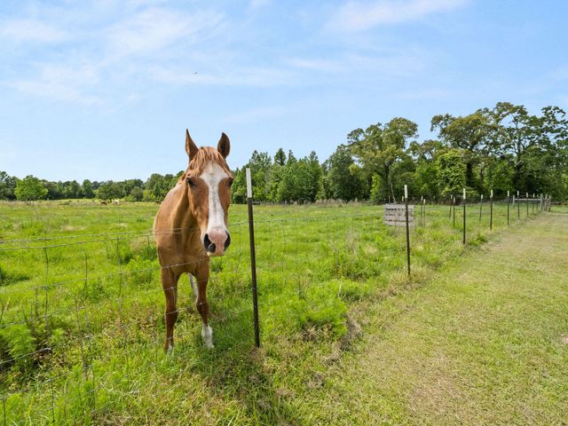 438 Billy Young, Sugartown, LA 70662