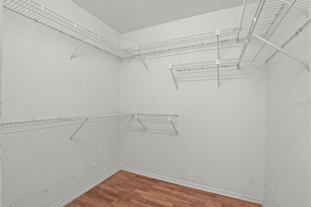 324 WOOD DOVE AVENUE, Tarpon Springs, FL 34689