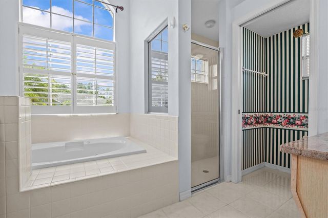 324 WOOD DOVE AVENUE, Tarpon Springs, FL 34689