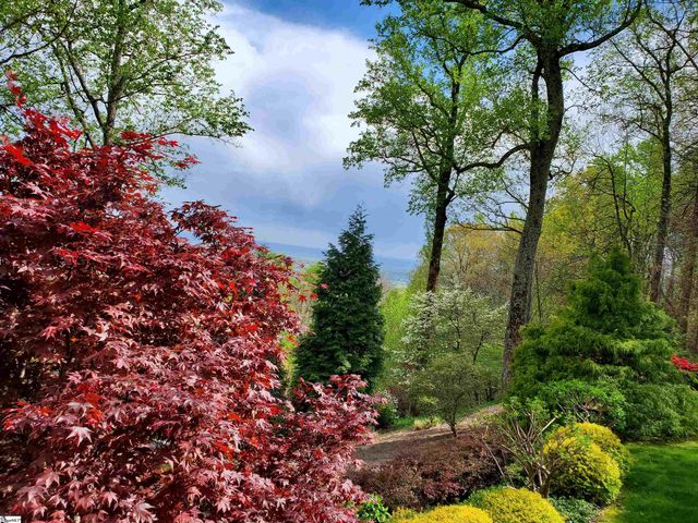 5 Falcons Ledge Drive, Landrum, SC 29356