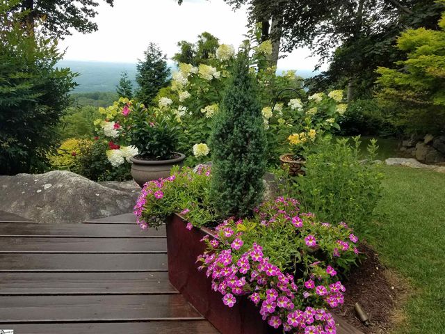 5 Falcons Ledge Drive, Landrum, SC 29356