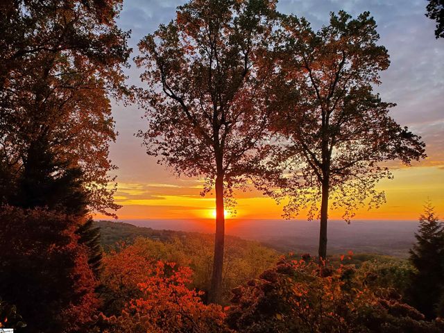 5 Falcons Ledge Drive, Landrum, SC 29356