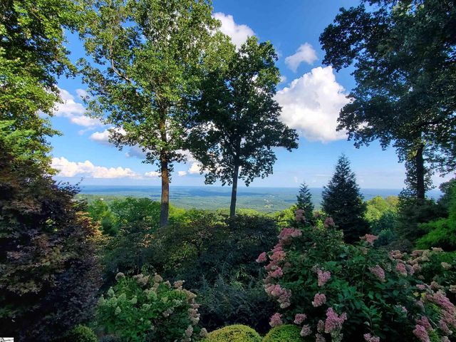 5 Falcons Ledge Drive, Landrum, SC 29356