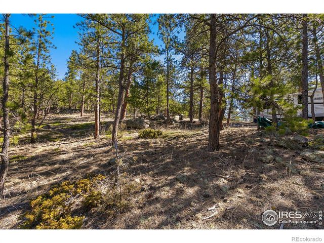 105 Fox Creek Road, Glen Haven, CO 80532