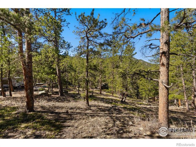 105 Fox Creek Road, Glen Haven, CO 80532