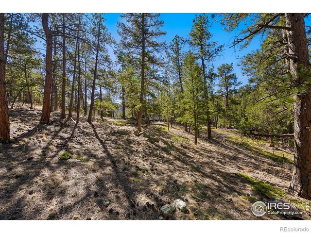 105 Fox Creek Road, Glen Haven, CO 80532