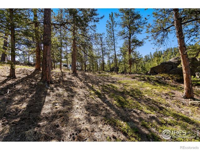 105 Fox Creek Road, Glen Haven, CO 80532