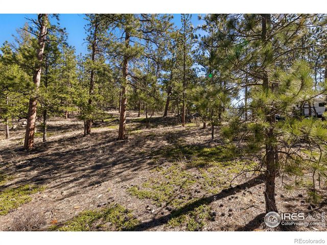 105 Fox Creek Road, Glen Haven, CO 80532