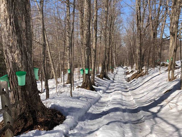 2358 Long Hill Road, Woodstock, VT 05091
