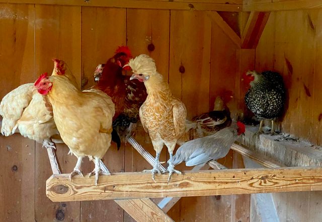 2358 Long Hill Road, Woodstock, VT 05091