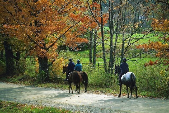 2358 Long Hill Road, Woodstock, VT 05091