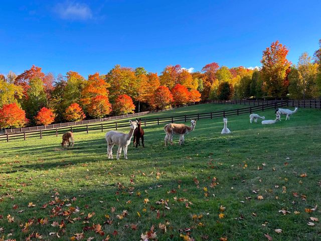 2358 Long Hill Road, Woodstock, VT 05091