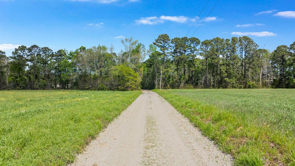 6.5 Acres Christine Pl., Hemingway, SC 29554 — photo 2