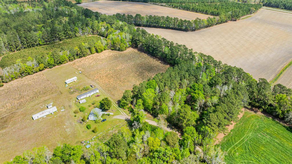 6.5 Acres Christine Pl., Hemingway, SC 29554 — photo 4