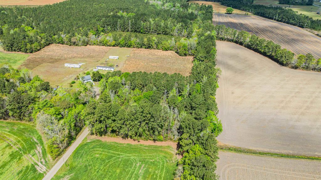 6.5 Acres Christine Pl., Hemingway, SC 29554 — photo 5